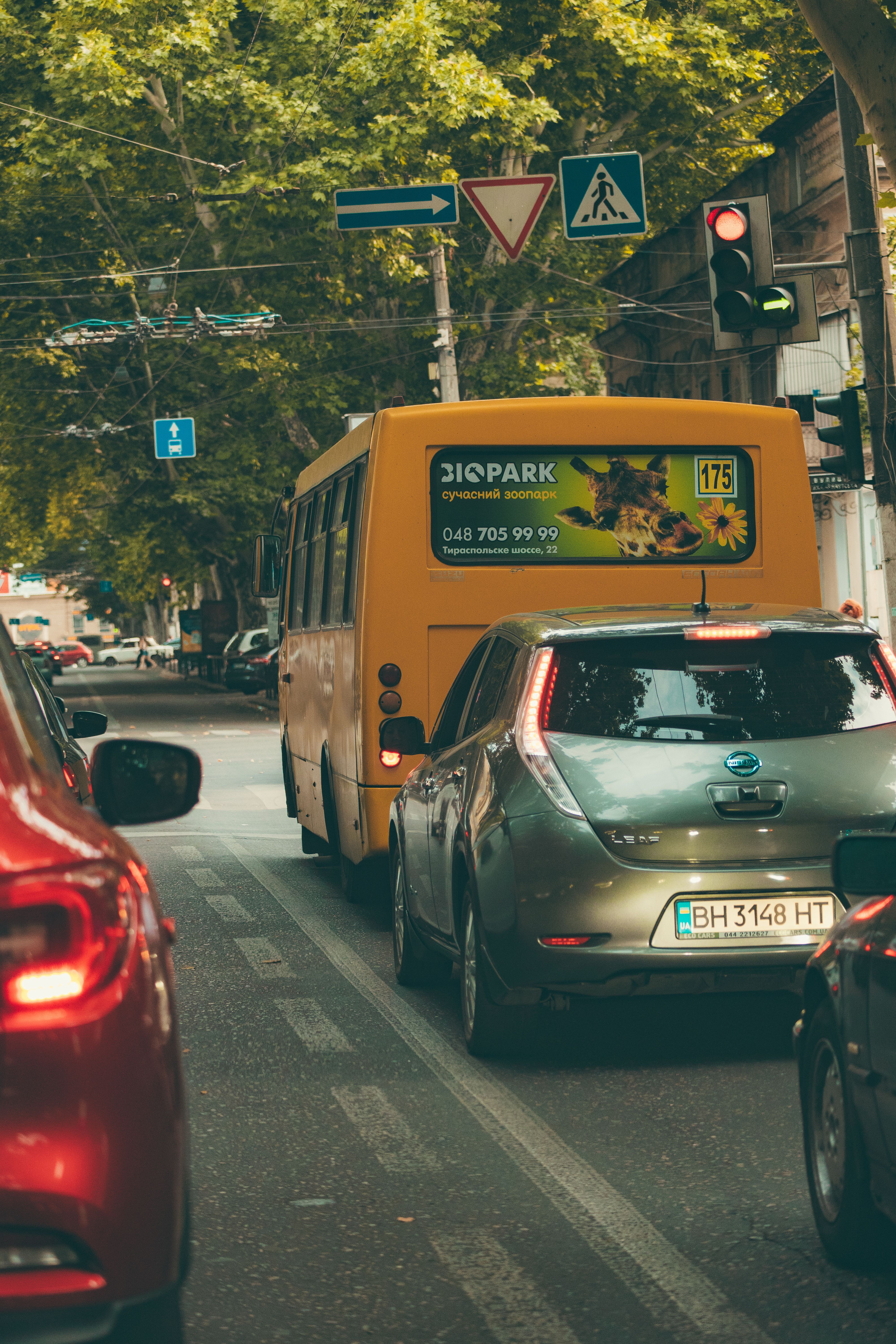 Vehicle Branding